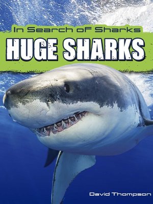 cover image of Huge Sharks
